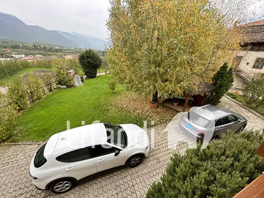 Immagine 15 di Casa indipendente in vendita  a Predaia