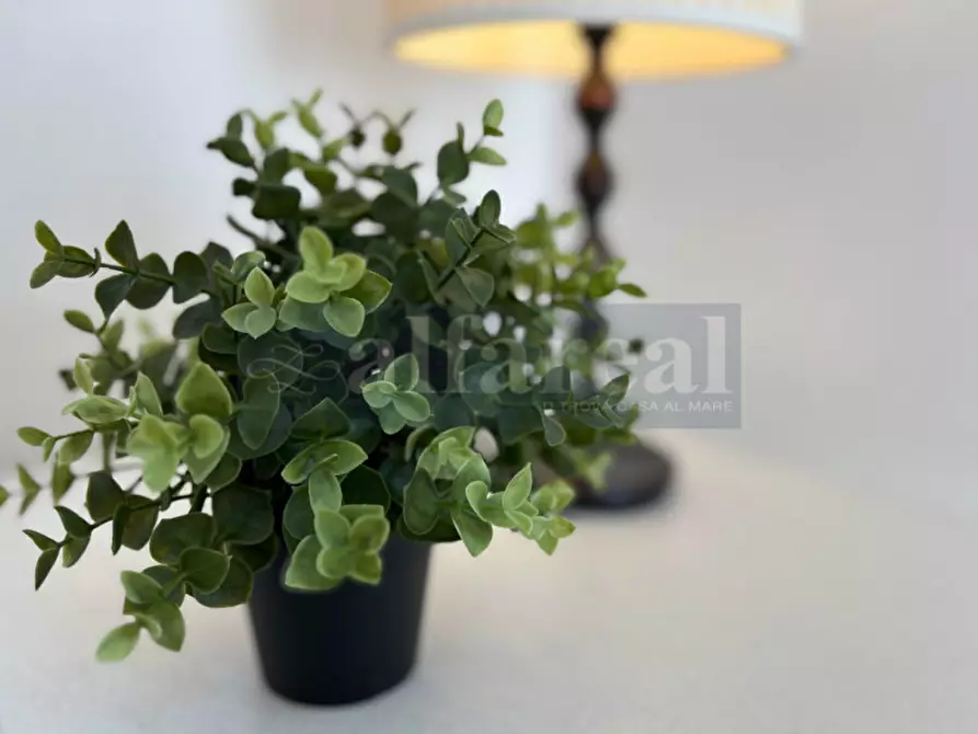 Immagine 14 di Appartamento in vendita  a Castiglione Della Pescaia