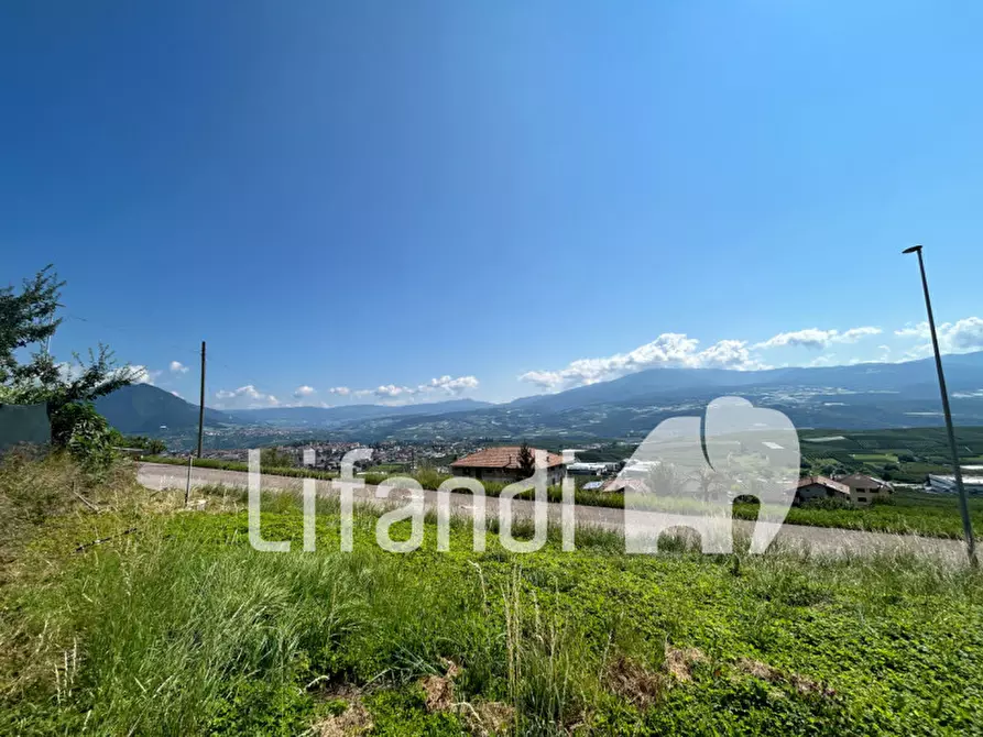 Immagine 2 di Terreno in vendita  in Str. per Mechel a Cles