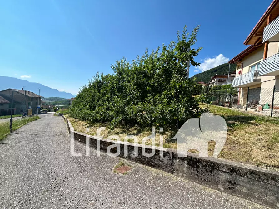 Immagine 4 di Terreno in vendita  in Str. per Mechel a Cles