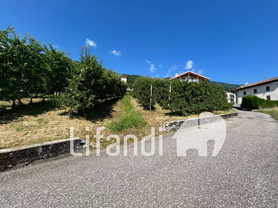 Immagine 6 di Terreno in vendita  in Str. per Mechel a Cles