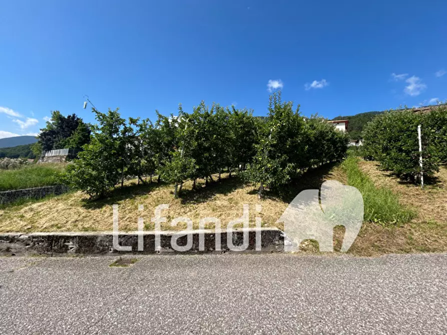 Immagine 7 di Terreno in vendita  in Str. per Mechel a Cles