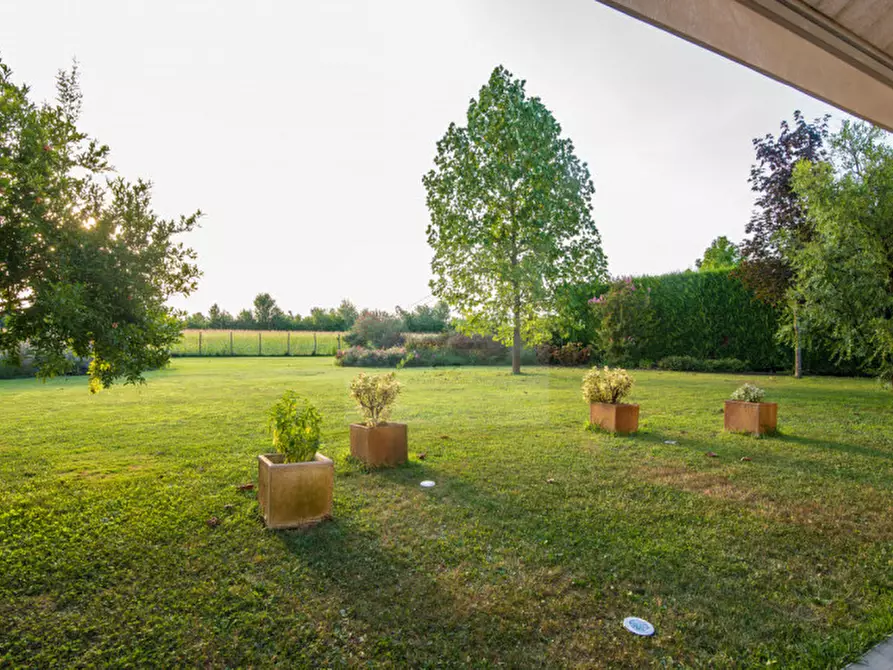 Immagine 33 di Villa in vendita  in via dante alighieri a Ponte San Nicolò