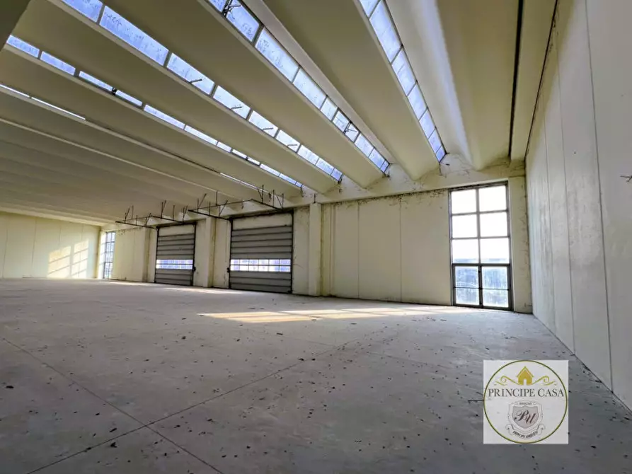 Immagine 2 di Capannone industriale in vendita  in Via Cabasadonne a Terrassa Padovana