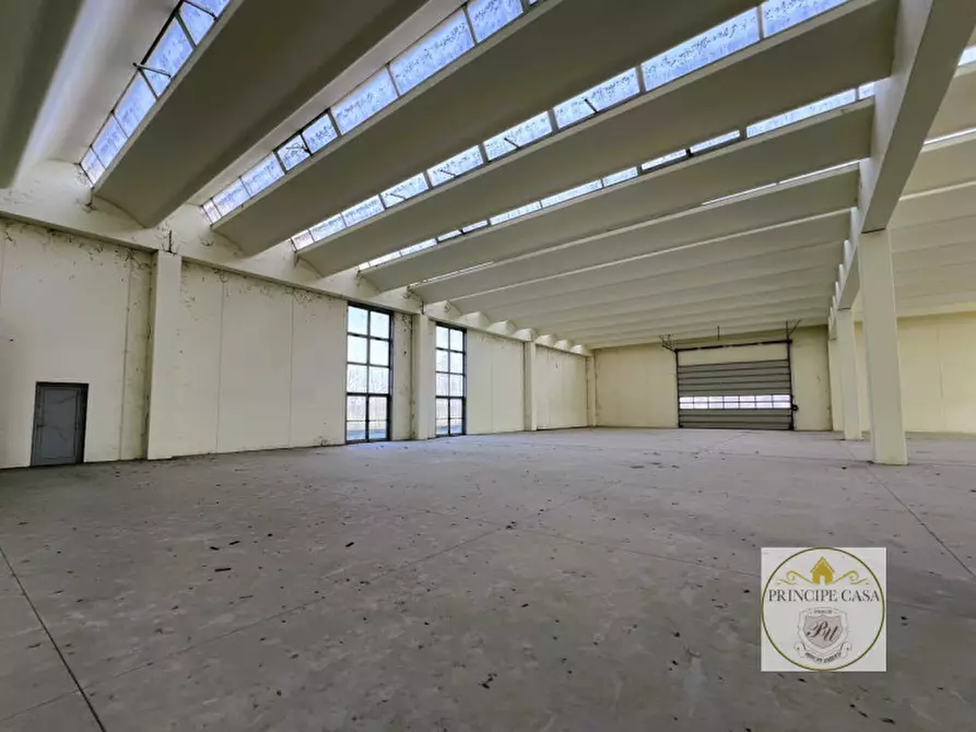 Immagine 3 di Capannone industriale in vendita  in Via Cabasadonne a Terrassa Padovana