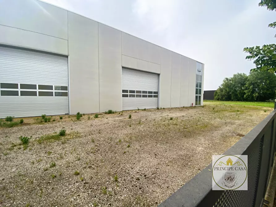 Immagine 10 di Capannone industriale in vendita  in Via Cabasadonne a Terrassa Padovana