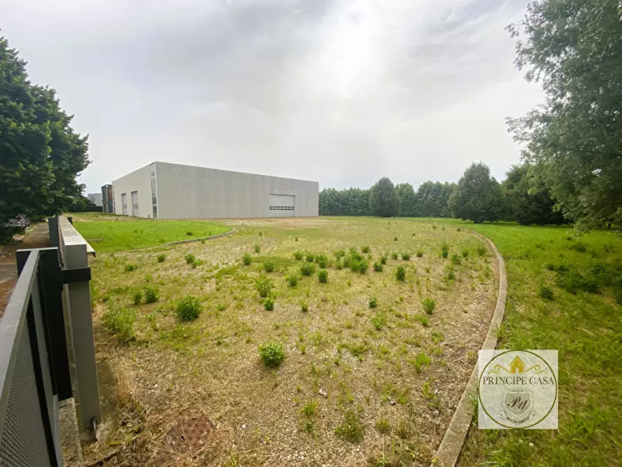Immagine 15 di Capannone industriale in vendita  in Via Cabasadonne a Terrassa Padovana
