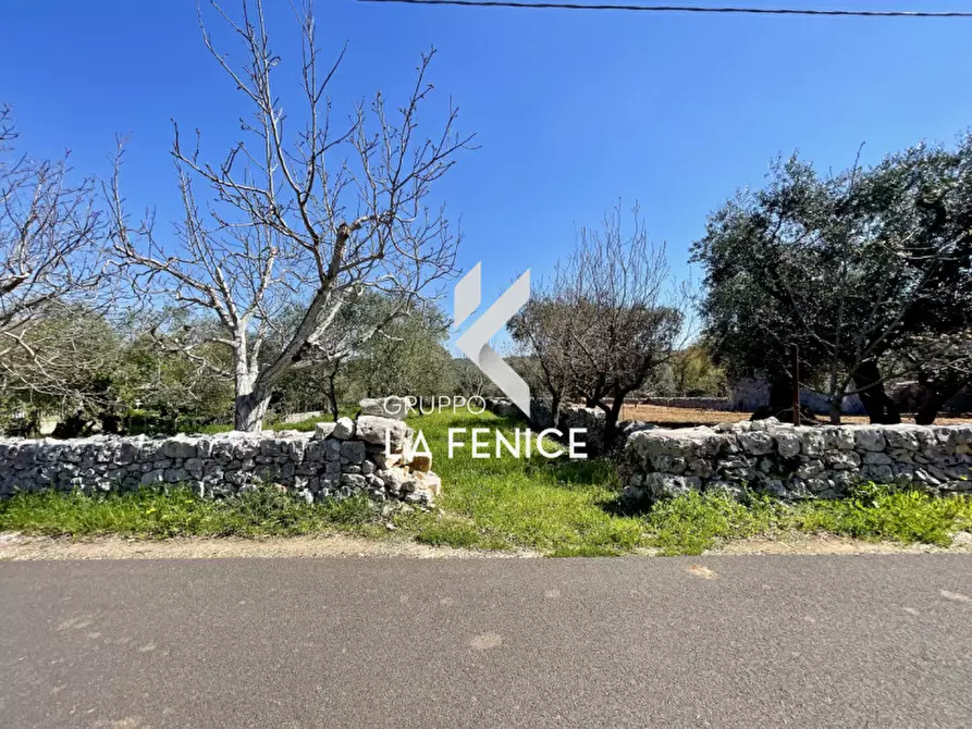 Immagine 62 di Rustico / casale in vendita  in contrada Cupa a Locorotondo