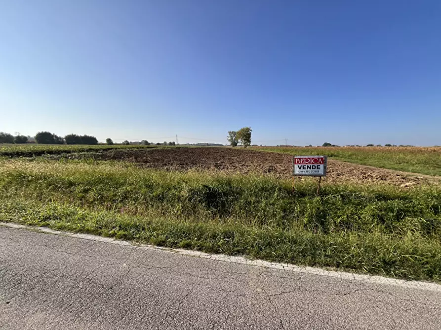 Immagine 2 di Terreno in vendita  in Via Cà Berta a Sossano