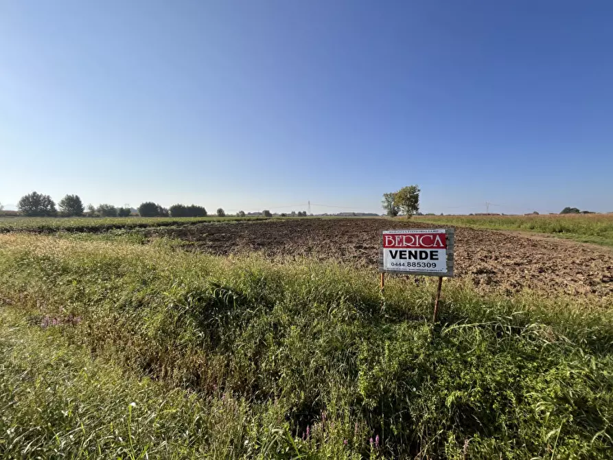 Immagine 3 di Terreno in vendita  in Via Cà Berta a Sossano