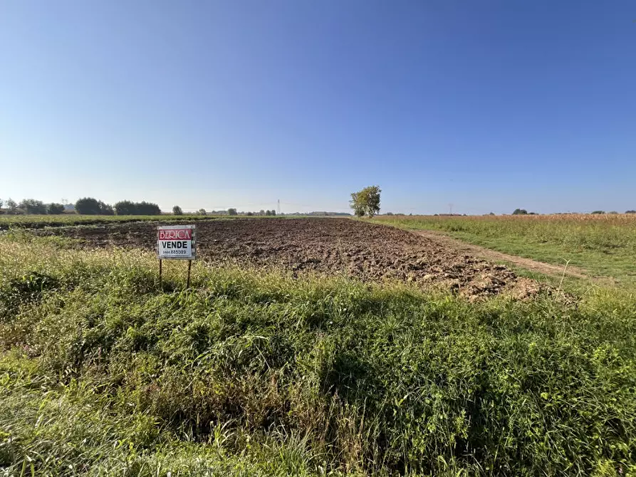 Immagine 4 di Terreno in vendita  in Via Cà Berta a Sossano