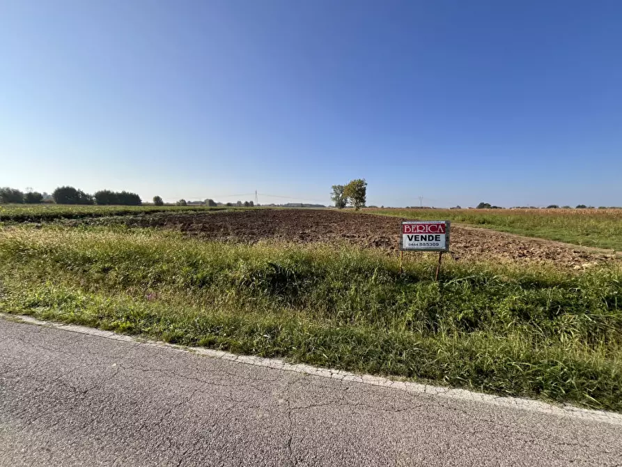 Immagine 5 di Terreno in vendita  in Via Cà Berta a Sossano