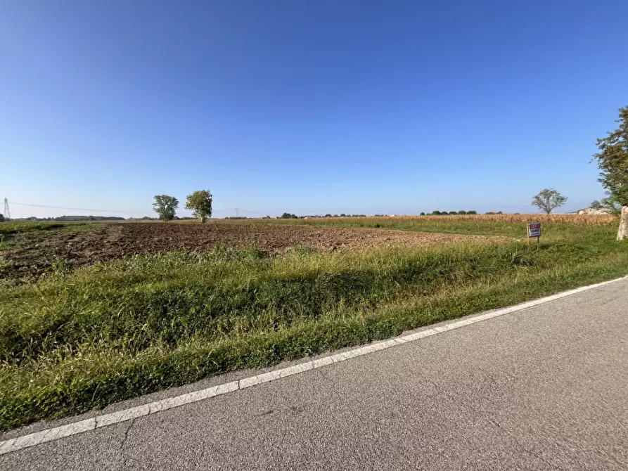 Immagine 6 di Terreno in vendita  in Via Cà Berta a Sossano