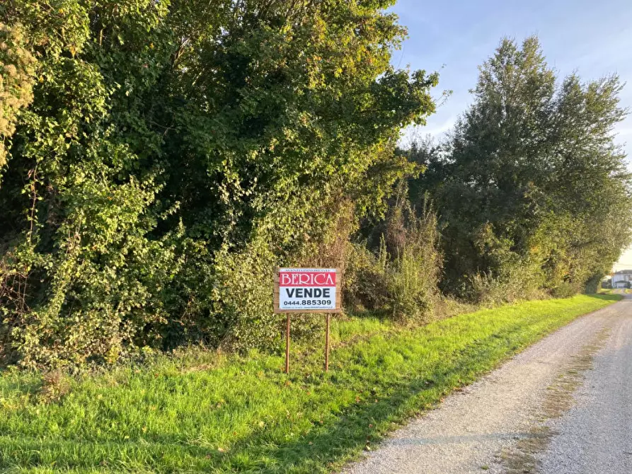 Immagine 2 di Terreno in vendita  in Via Ronche a Sossano