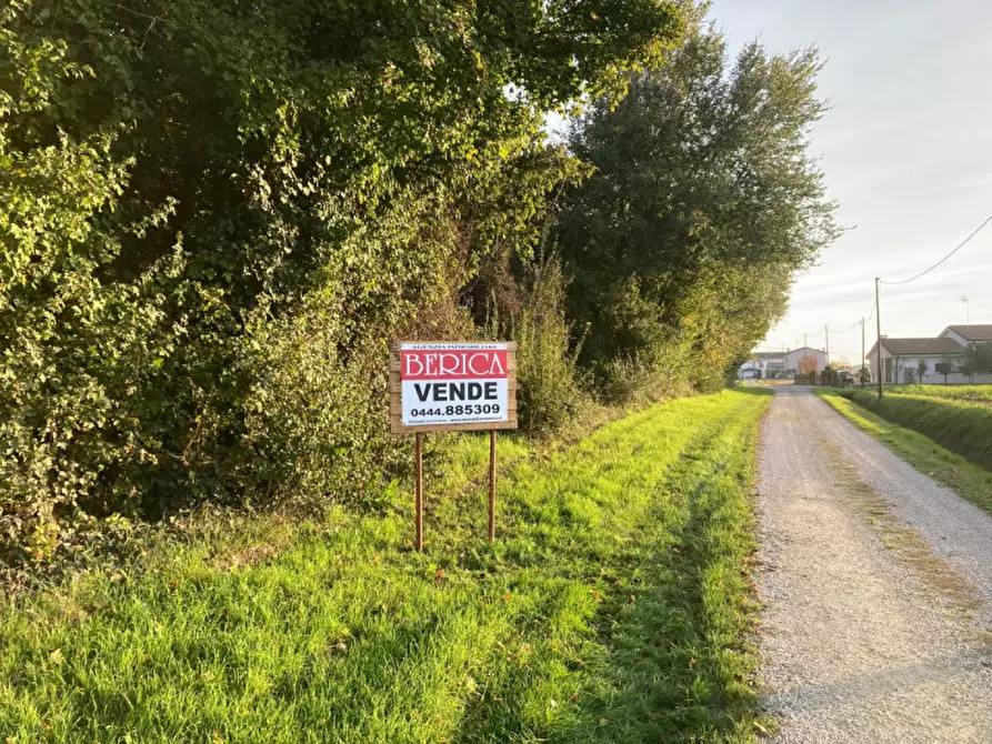 Immagine 3 di Terreno in vendita  in Via Ronche a Sossano