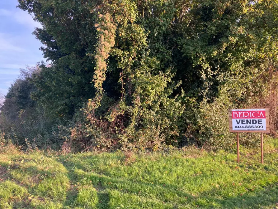 Immagine 4 di Terreno in vendita  in Via Ronche a Sossano