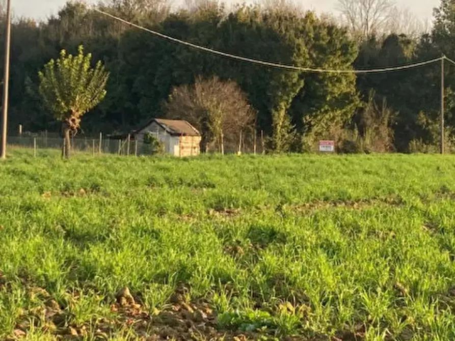 Immagine 5 di Terreno in vendita  in Via Ronche a Sossano