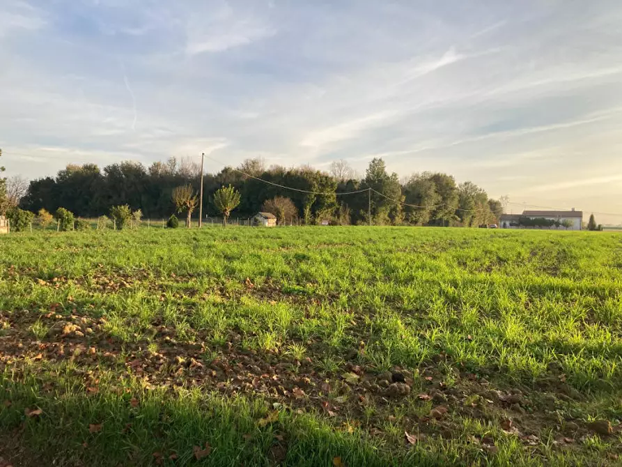 Immagine 6 di Terreno in vendita  in Via Ronche a Sossano