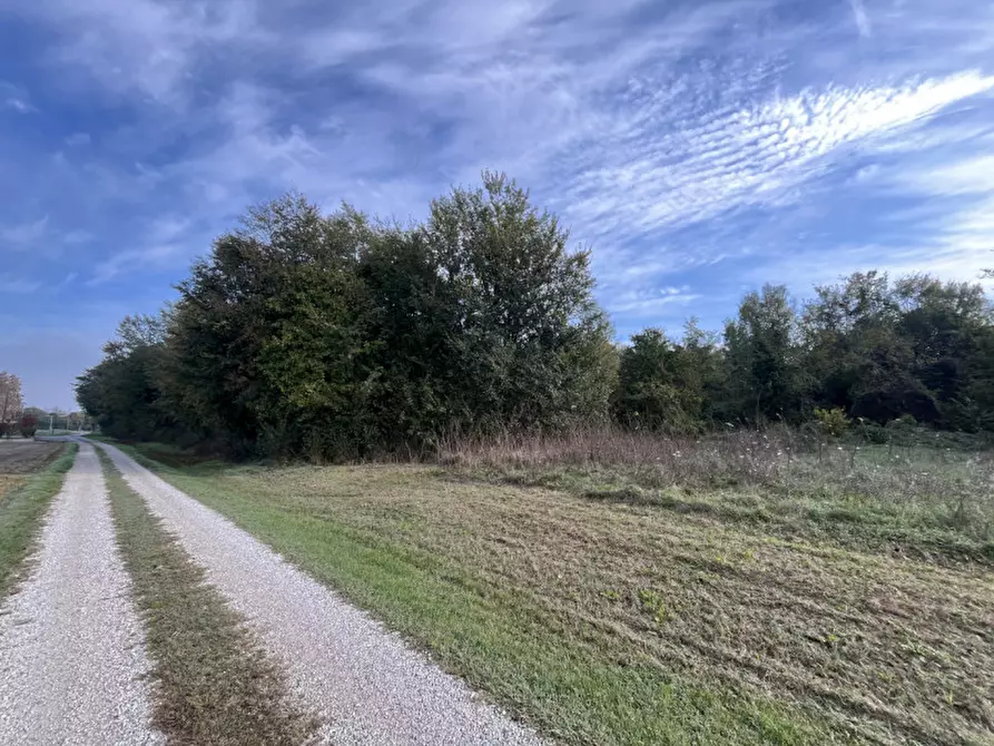 Immagine 7 di Terreno in vendita  in Via Ronche a Sossano
