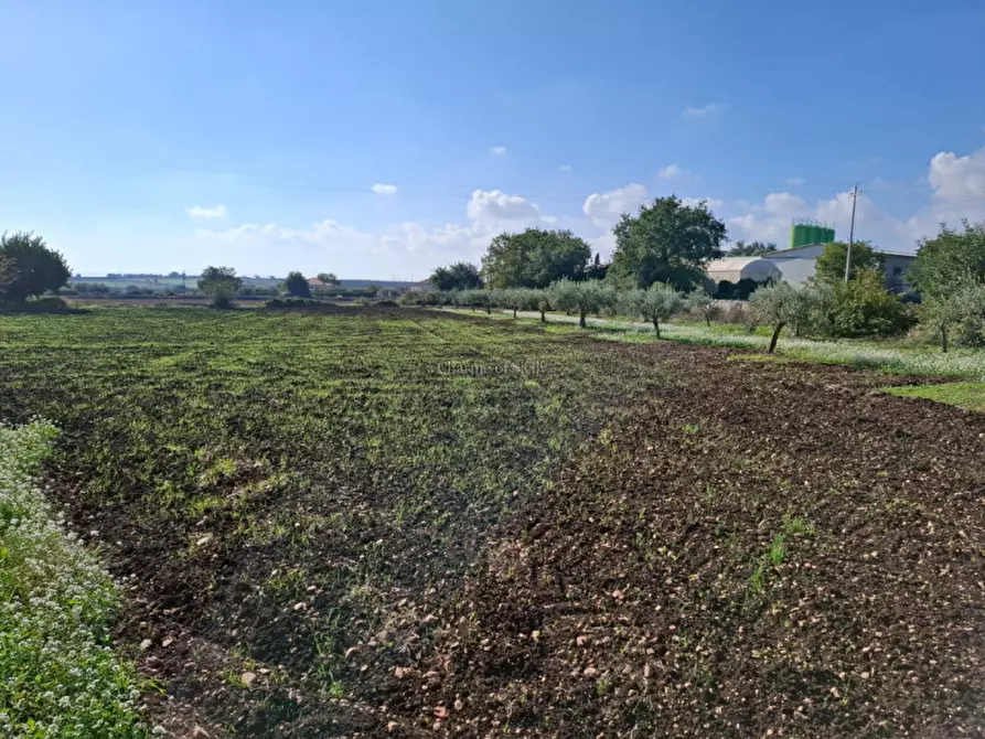 Immagine 31 di Casa indipendente in vendita  in Via Rocciola Scrofani a Modica