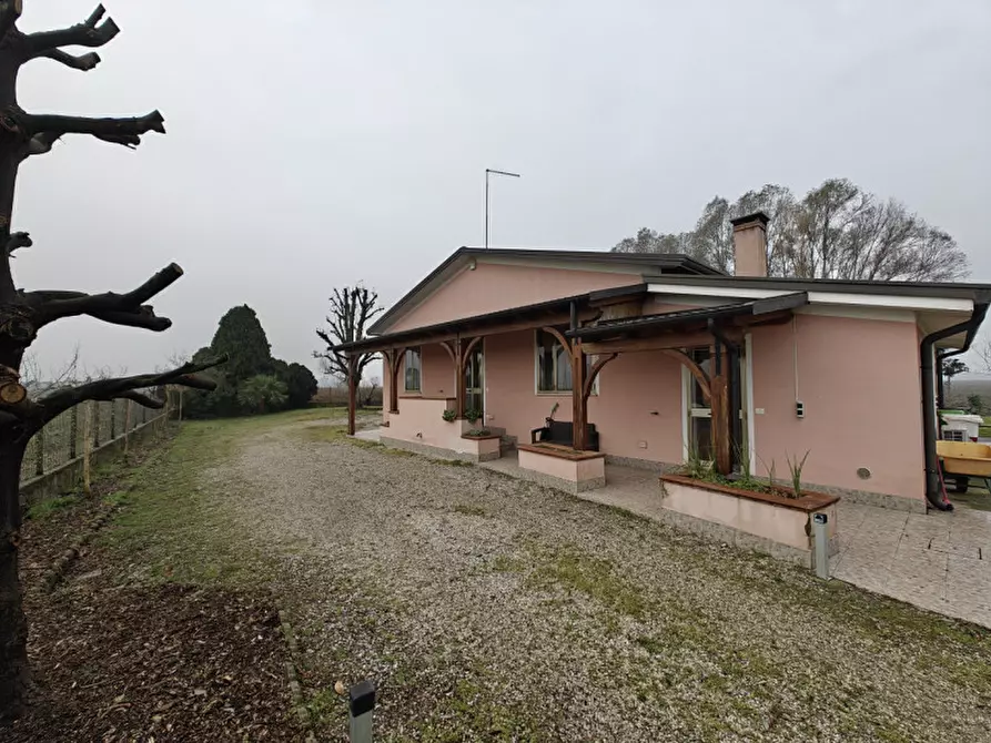 Immagine 1 di Casa indipendente in vendita  a San Martino Di Venezze