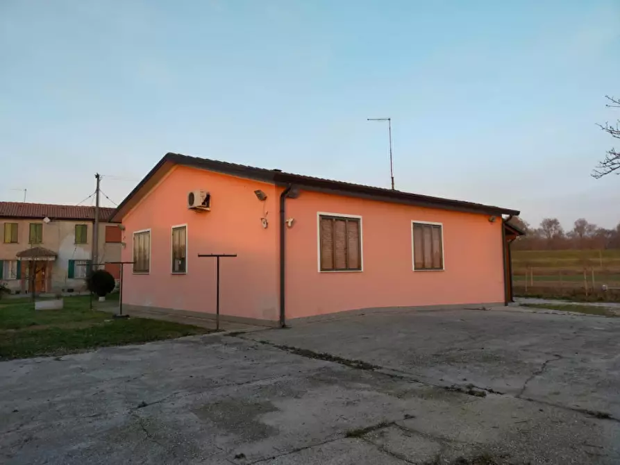 Immagine 3 di Casa indipendente in vendita  a San Martino Di Venezze