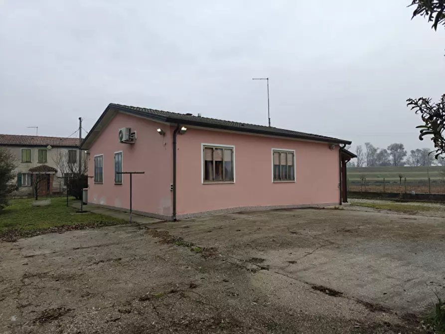 Immagine 9 di Casa indipendente in vendita  a San Martino Di Venezze