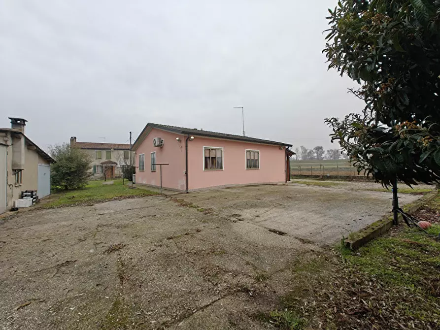 Immagine 10 di Casa indipendente in vendita  a San Martino Di Venezze