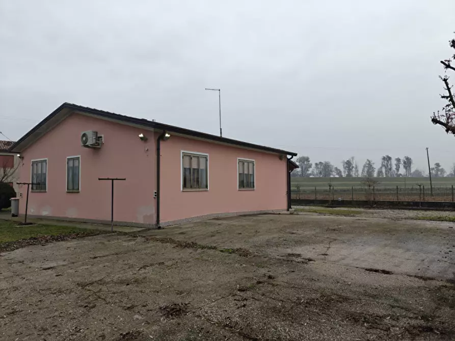 Immagine 11 di Casa indipendente in vendita  a San Martino Di Venezze