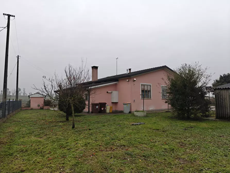 Immagine 12 di Casa indipendente in vendita  a San Martino Di Venezze