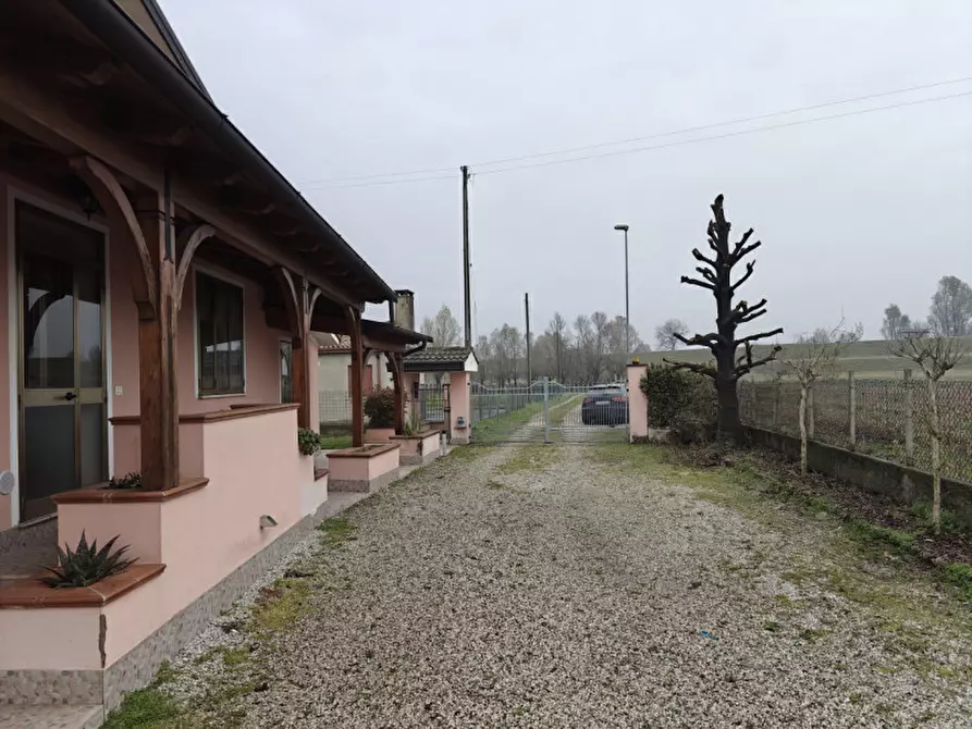 Immagine 14 di Casa indipendente in vendita  a San Martino Di Venezze