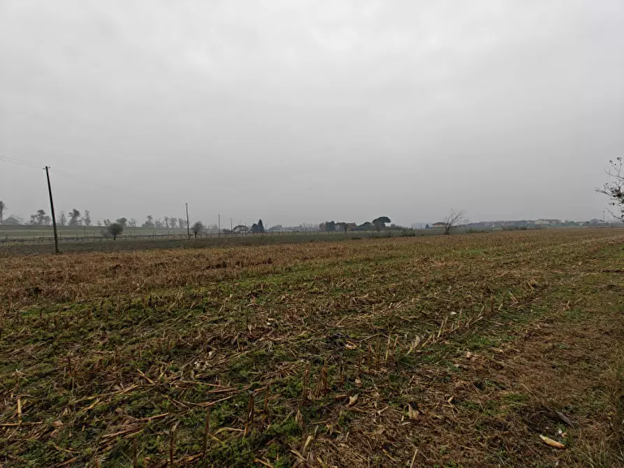 Immagine 16 di Casa indipendente in vendita  a San Martino Di Venezze