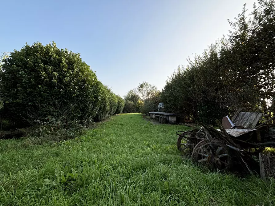 Immagine 38 di Villetta a schiera in vendita  in Loc. Copermio, 24 a Colorno