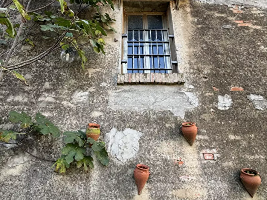 Immagine 50 di Villetta a schiera in vendita  in Loc. Copermio, 24 a Colorno