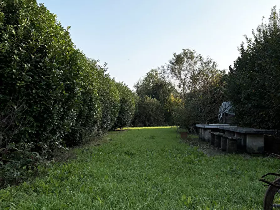 Immagine 66 di Villetta a schiera in vendita  in Loc. Copermio, 24 a Colorno