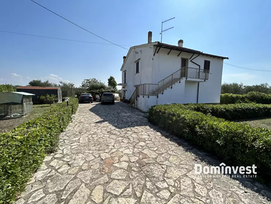 Immagine 1 di Rustico / casale in vendita  in Strada dei due pini a Capalbio