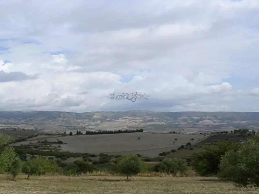 Immagine 11 di Villa in vendita  in Contrada San Giacomo a Modica