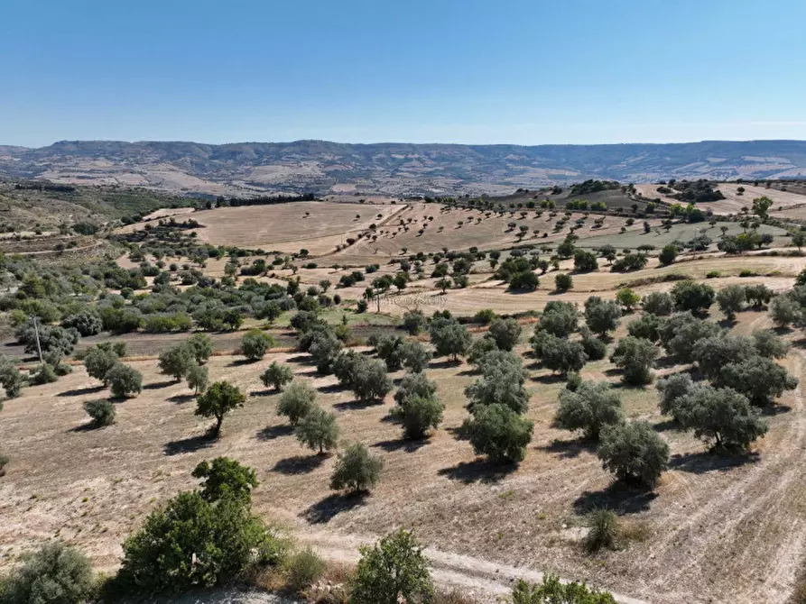 Immagine 12 di Villa in vendita  in Contrada San Giacomo a Modica