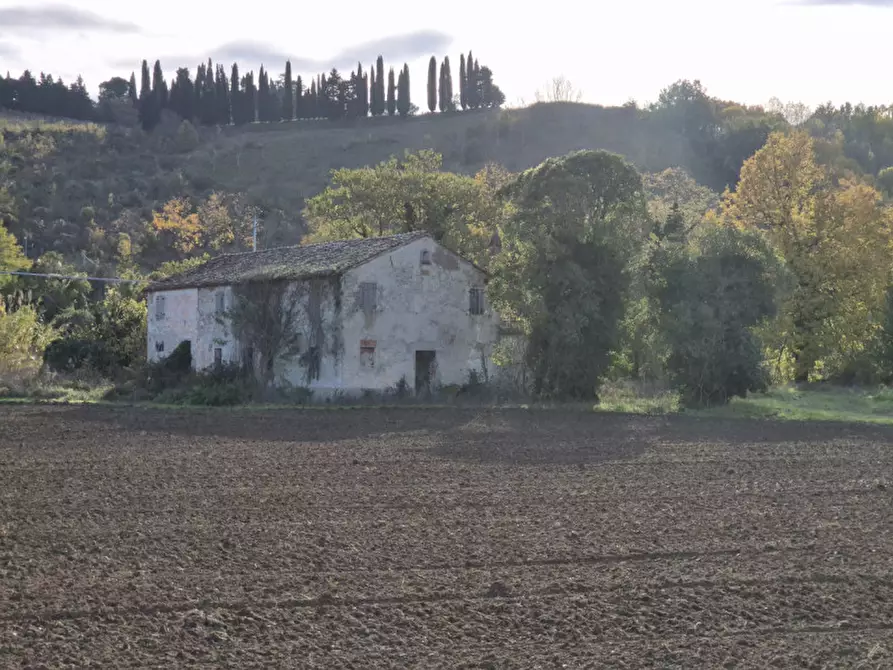 Immagine 1 di Rustico / casale in vendita  a Cesena