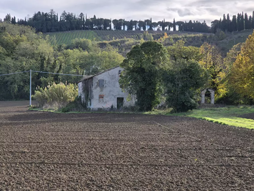 Immagine 2 di Rustico / casale in vendita  a Cesena