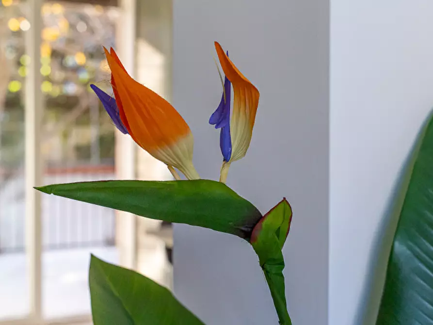 Immagine 5 di Villa in vendita  in Via Bartolomeo Chesi a Roma