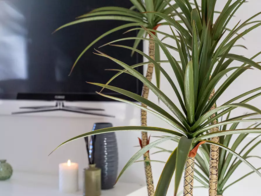 Immagine 14 di Villa in vendita  in Via Bartolomeo Chesi a Roma