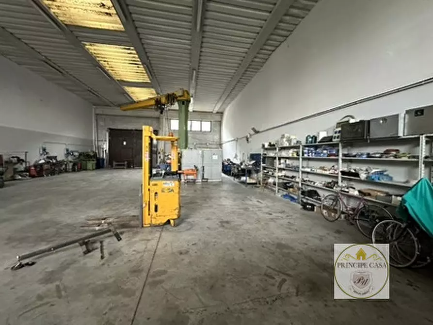 Immagine 7 di Capannone industriale in affitto  in via vallancon ovest 10 a Ospedaletto Euganeo