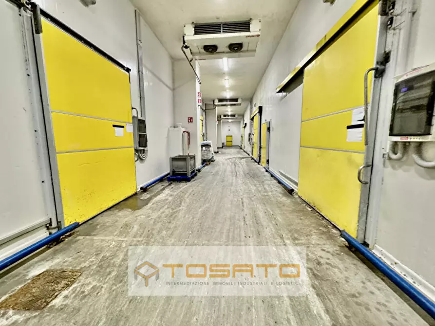 Immagine 3 di Capannone industriale in affitto  a Verona