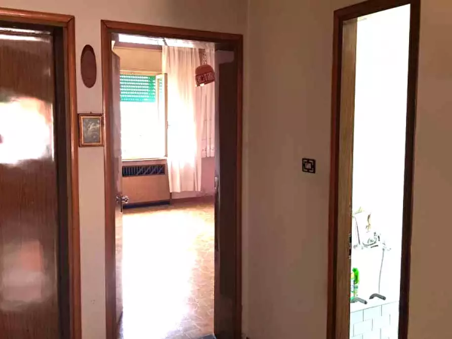 Immagine 5 di Casa indipendente in vendita  in Via Noalese a Pianiga