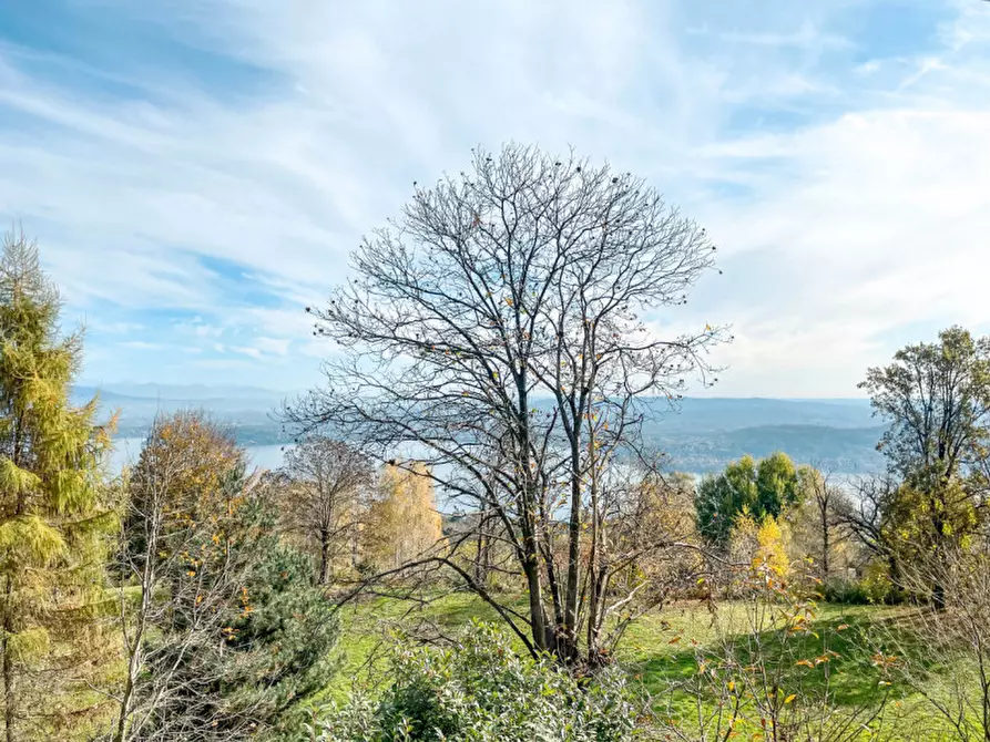 Immagine 6 di Casa indipendente in vendita  in via fontanella 13 a Massino Visconti
