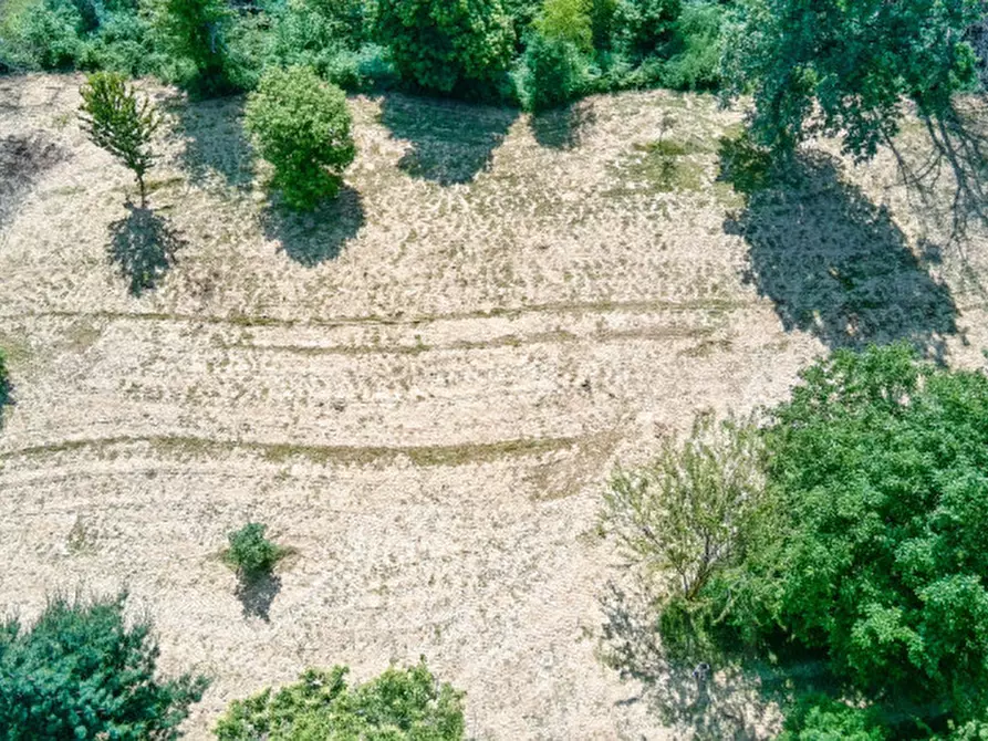 Immagine 70 di Casa indipendente in vendita  in via fontanella 13 a Massino Visconti