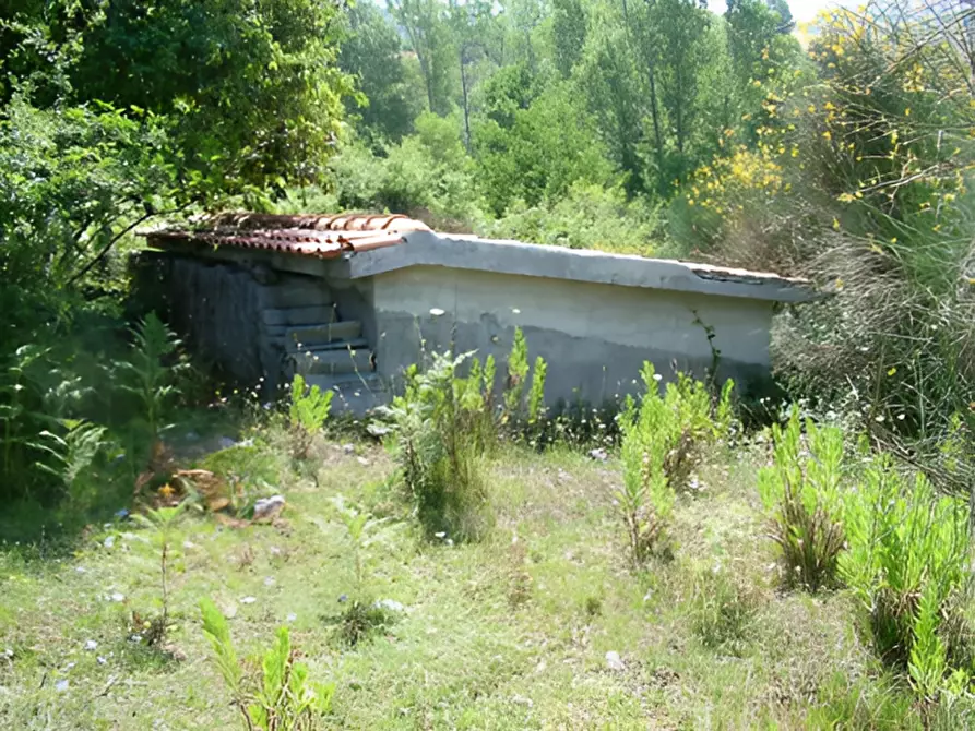 Immagine 6 di Terreno in vendita  in località Scorpari a Orsomarso