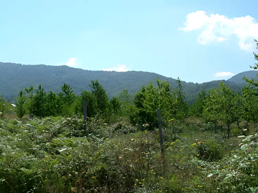 Immagine 10 di Terreno in vendita  in località Scorpari a Orsomarso