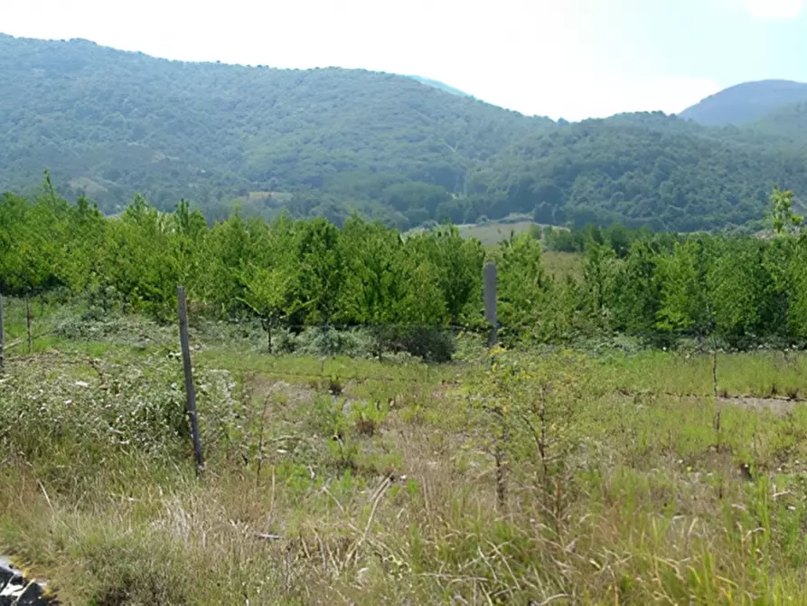 Immagine 11 di Terreno in vendita  in località Scorpari a Orsomarso